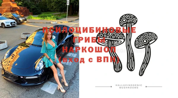 ПСИЛОЦИБИНОВЫЕ ГРИБЫ Абаза