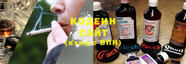 ПСИЛОЦИБИНОВЫЕ ГРИБЫ Абаза