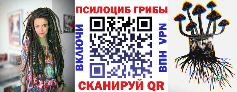 Галлюциногенные грибы прущие грибы  купить наркоту  Новочебоксарск 